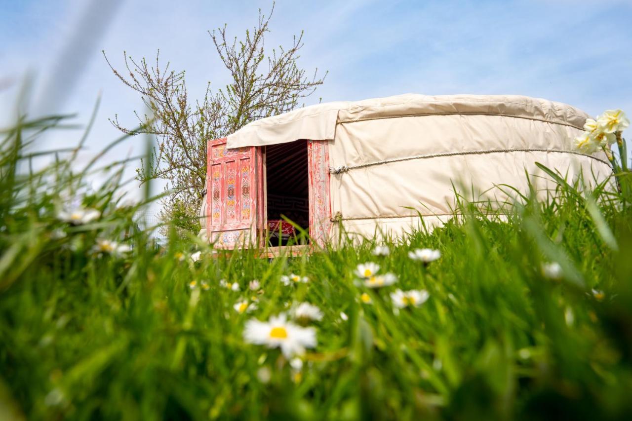 Logements Insolites A La Ferme - Yourte, Kota Ou Pod Farbus Εξωτερικό φωτογραφία